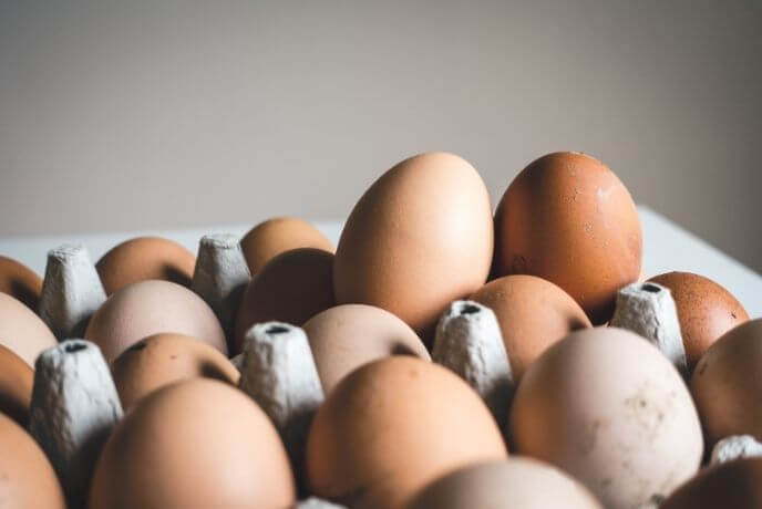 Exam Food-eggs